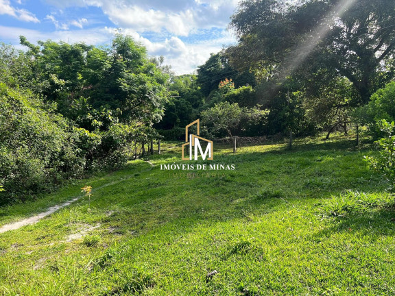 Imóvel com 5 Quartos à Venda, 20.000 m² em Zona Rural - Florestal