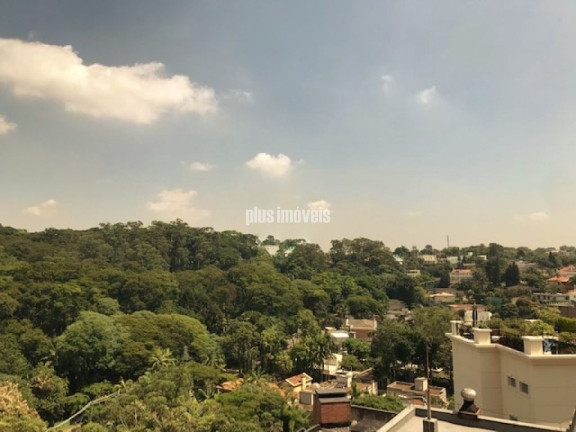 Imagem Apartamento com 4 Quartos à Venda, 310 m² em Real Parque - São Paulo