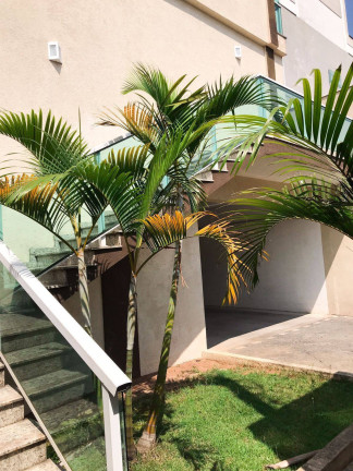 Imagem Casa com 3 Quartos à Venda, 128 m² em Cidade Patriarca - São Paulo Imagem Casa com 3 Quartos à Venda, 128 m² em Cidade Patriarca - São Paulo