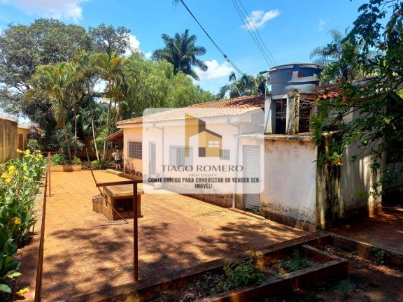 Imagem Chácara com 3 Quartos à Venda, 6.558 m² em Vila Xavier - Araraquara