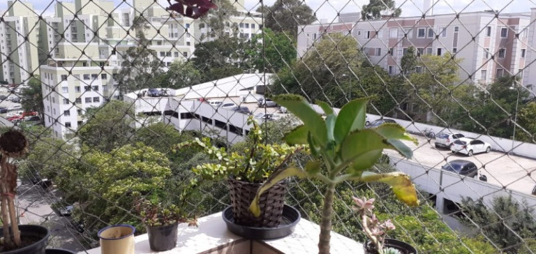 Imagem Imóvel com 3 Quartos à Venda, 77 m² em Parque Munhoz - São Paulo Imagem Imóvel com 3 Quartos à Venda, 77 m² em Parque Munhoz - São Paulo