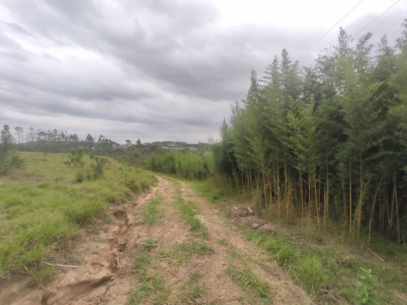 Imagem Terreno à Venda, 242.000 m² em área Rural De Limeira - Limeira Imagem Terreno à Venda, 242.000 m² em área Rural De Limeira - Limeira