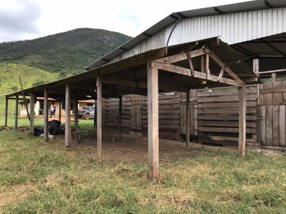 Imagem Fazenda à Venda, 90 m² em Zona Rural - Santa Rita Do Sapucaí