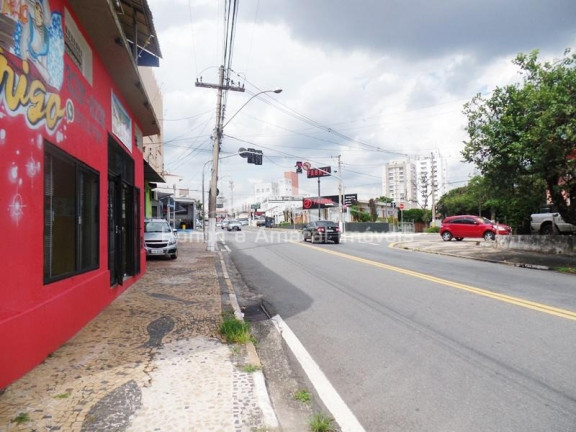 Imagem Casa com 2 Quartos à Venda, 543 m² em Taquaral - Campinas Imagem Casa com 2 Quartos à Venda, 543 m² em Taquaral - Campinas
