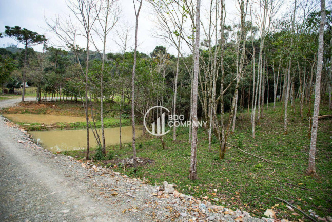 Imagem Chácara com 3 Quartos à Venda, 160 m² em Colina - Irati Imagem Chácara com 3 Quartos à Venda, 160 m² em Colina - Irati