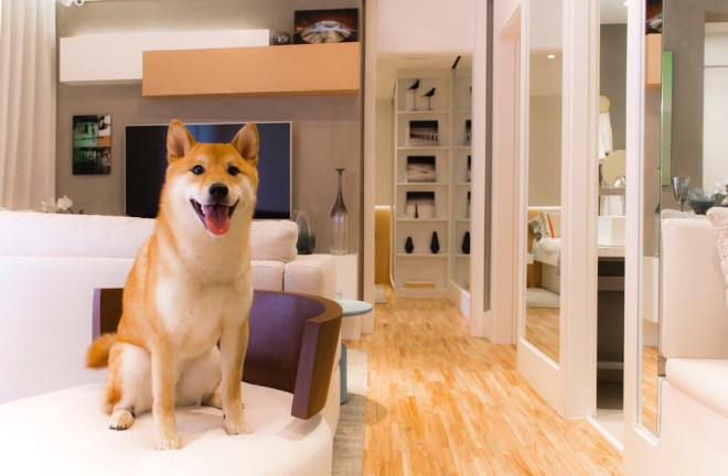 Imagem Imóvel com 3 Quartos à Venda, 65 m² em Vila Mascote - São Paulo Imagem Imóvel com 3 Quartos à Venda, 65 m² em Vila Mascote - São Paulo