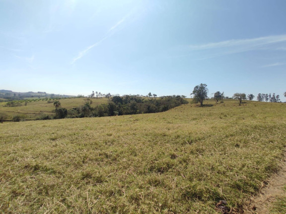 Imagem Chácara com 4 Quartos à Venda, 242 m² em Cercadinho - Alambari