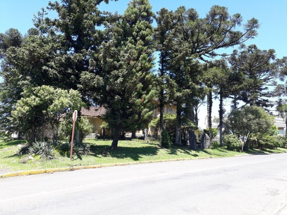 Imagem Terreno à Venda, 4.800 m² em Avenida Central - Gramado Imagem Terreno à Venda, 4.800 m² em Avenida Central - Gramado
