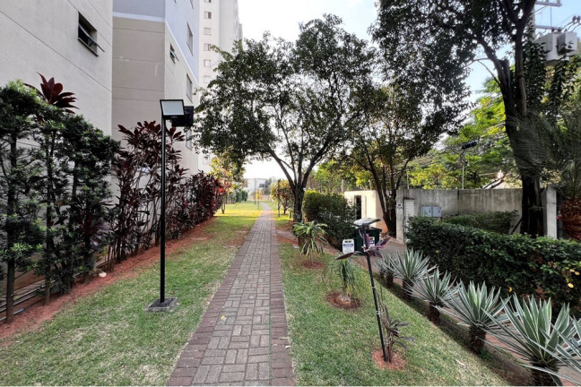 Imagem Apartamento com 2 Quartos à Venda, 48 m² em Lapa De Baixo - São Paulo Imagem Apartamento com 2 Quartos à Venda, 48 m² em Lapa De Baixo - São Paulo