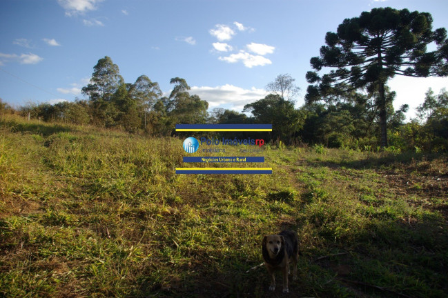 Imagem Imóvel com 1 Quarto à Venda, 19.700 m² em Campestre - Muzambinho Imagem Imóvel com 1 Quarto à Venda, 19.700 m² em Campestre - Muzambinho