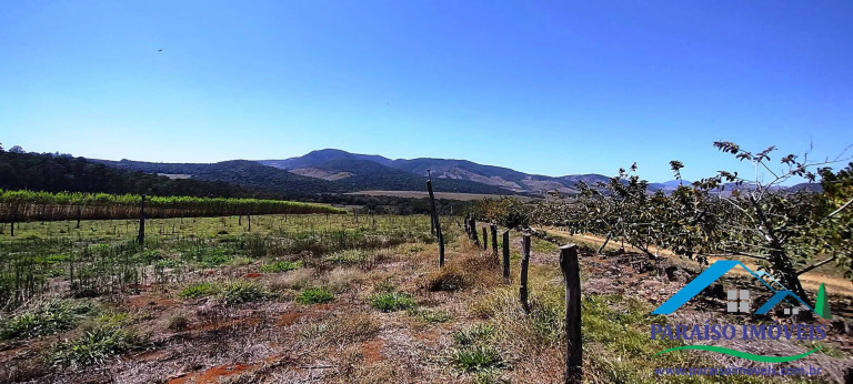 Imagem Chácara à Venda, 43 m² em Centro - Paraisópolis Imagem Chácara à Venda, 43 m² em Centro - Paraisópolis
