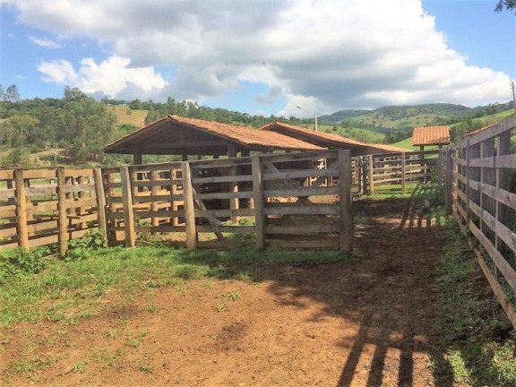 Imagem Imóvel com 3 Quartos à Venda, 448.000 m² em Roseta - Cambuí Imagem Imóvel com 3 Quartos à Venda, 448.000 m² em Roseta - Cambuí