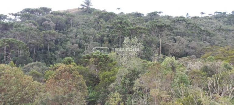 Imagem Imóvel à Venda, 20.000 m² em Bairro Do Charco - Delfim Moreira Imagem Imóvel à Venda, 20.000 m² em Bairro Do Charco - Delfim Moreira