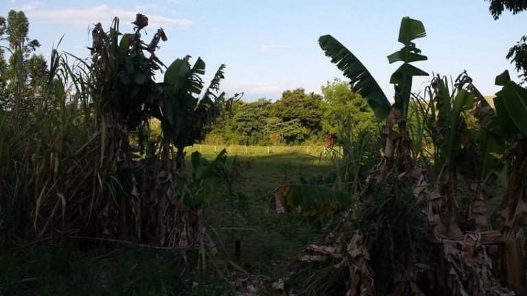 Imagem Chácara à Venda,  em Granjas Rurais Reunidas São Judas Tadeu - Taubaté