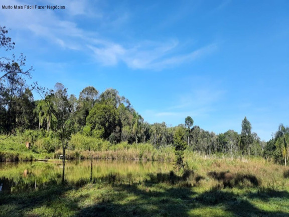 Imagem Terreno à Venda, 1 m² em Br 116 - Nova Petrópolis Imagem Terreno à Venda, 1 m² em Br 116 - Nova Petrópolis