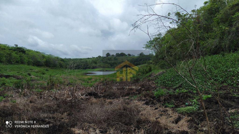 Imagem Fazenda à Venda, 160.000 m² em Rural - Paudalho Imagem Fazenda à Venda, 160.000 m² em Rural - Paudalho