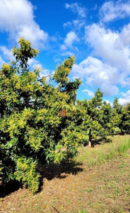 Imagem Fazenda à Venda, 44.500 m² em Monte Mor - Monte Mor Imagem Fazenda à Venda, 44.500 m² em Monte Mor - Monte Mor