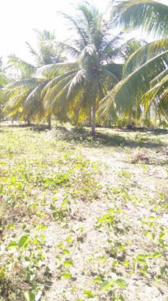 Imagem Terreno à Venda, 2 m² em São Cristóvão - Salvador Imagem Terreno à Venda, 2 m² em São Cristóvão - Salvador