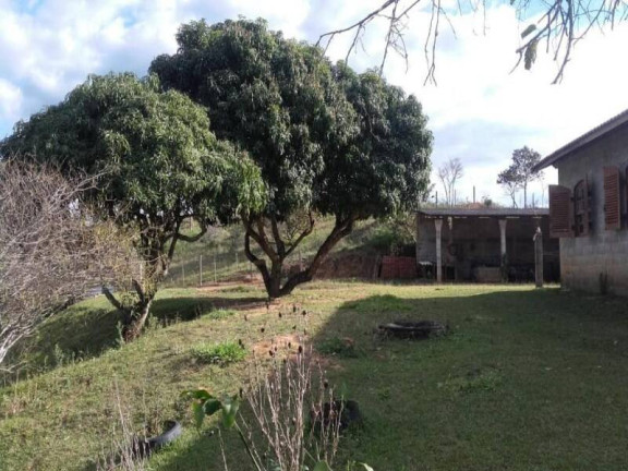 Imagem Chácara com 3 Quartos à Venda, 5 m² em Zona Rural - Piracaia