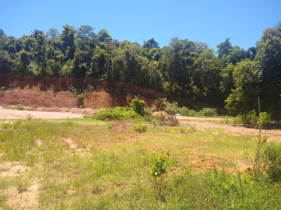 Imagem Imóvel à Venda, 8.000 m² em Jucu - Viana Imagem Imóvel à Venda, 8.000 m² em Jucu - Viana