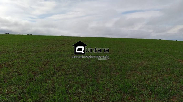 Imagem Imóvel com 2 Quartos à Venda, 700.000 m² em Barrocada - Cachoeira Do Sul