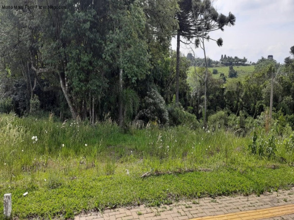 Imagem Terreno à Venda, 360 m² em Linha Imperial - Nova Petrópolis Imagem Terreno à Venda, 360 m² em Linha Imperial - Nova Petrópolis