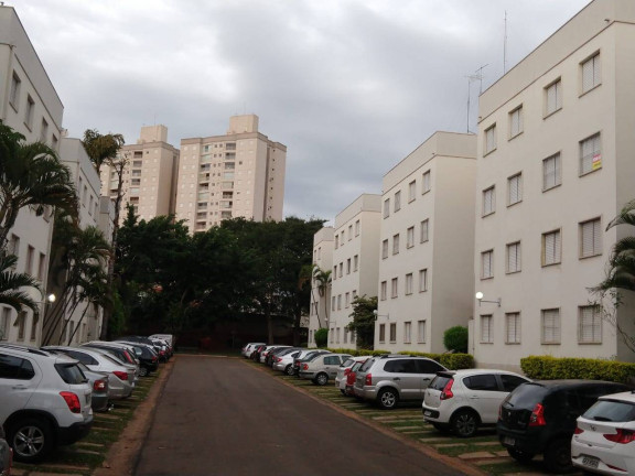 Imagem Apartamento com 2 Quartos à Venda,  em Jardim Miranda - Campinas
