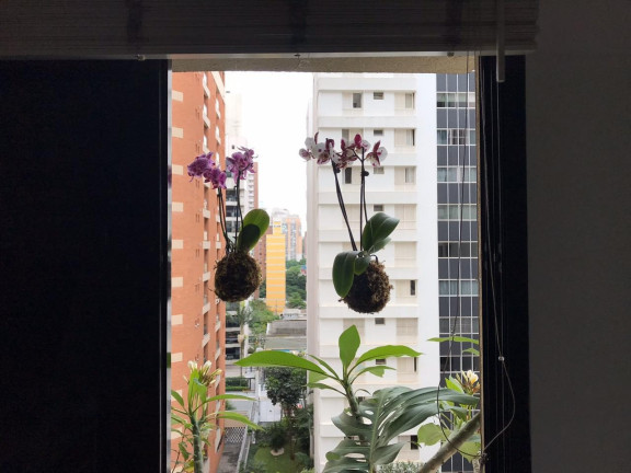 Imagem Imóvel com 1 Quarto à Venda, 44 m² em Indianópolis - São Paulo Imagem Imóvel com 1 Quarto à Venda, 44 m² em Indianópolis - São Paulo