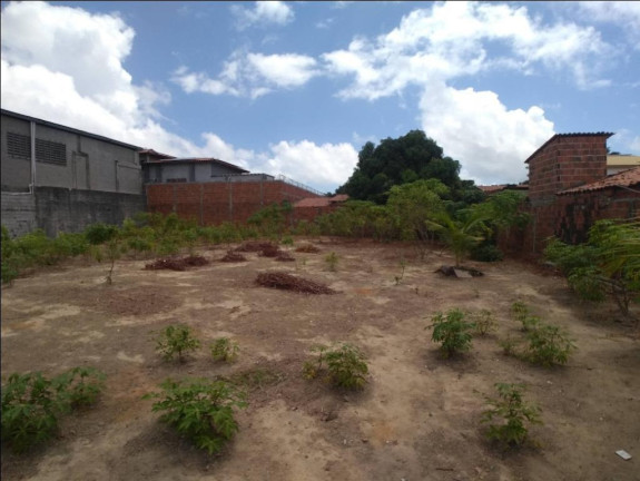 Imagem Terreno à Venda, 1.040 m² em Sapiranga - Fortaleza Imagem Terreno à Venda, 1.040 m² em Sapiranga - Fortaleza