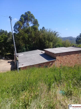 Imagem Imóvel com 2 Quartos à Venda, 80 m² em Zona Rural - Sentinela Do Sul Imagem Imóvel com 2 Quartos à Venda, 80 m² em Zona Rural - Sentinela Do Sul