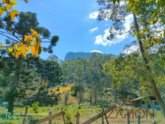 Imagem Fazenda à Venda, 230.000 m² em Jardim Márcia - Campos Do Jordão Imagem Fazenda à Venda, 230.000 m² em Jardim Márcia - Campos Do Jordão
