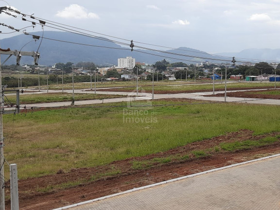 Imagem Terreno à Venda, 420 m² em Camobi - Santa Maria Imagem Terreno à Venda, 420 m² em Camobi - Santa Maria