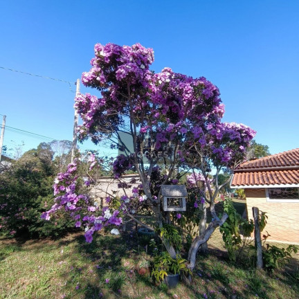 Imagem Imóvel com 2 Quartos à Venda, 230 m² em Recanto Dos Jatobás - Botucatu Imagem Imóvel com 2 Quartos à Venda, 230 m² em Recanto Dos Jatobás - Botucatu