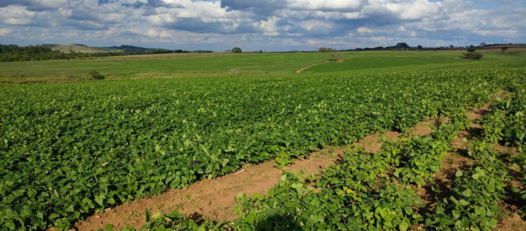 Imagem Fazenda à Venda, 70 m² em Rural - Itapetininga Imagem Fazenda à Venda, 70 m² em Rural - Itapetininga
