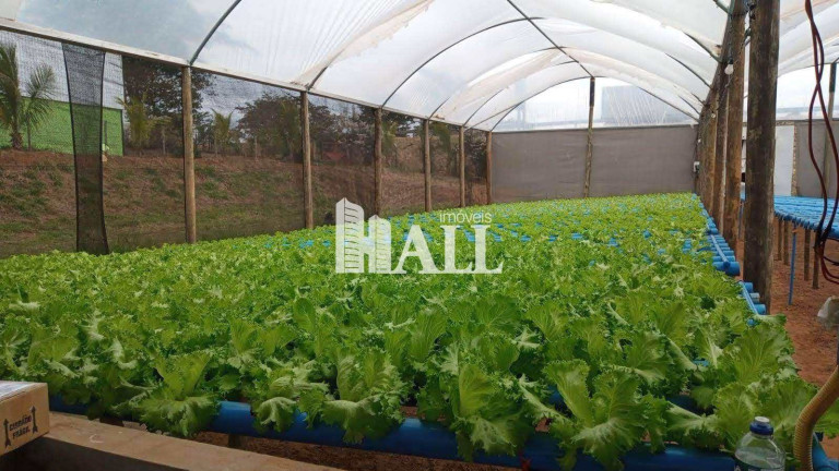 Imagem Fazenda à Venda, 500 m² em Centro - Bálsamo