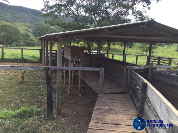 Imagem Fazenda à Venda, 125 m² em Zona Rural - Cocalzinho De Goiás Imagem Fazenda à Venda, 125 m² em Zona Rural - Cocalzinho De Goiás