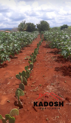 Imagem Terreno à Venda, em Povoado De Lagoa Grande - Ibipeba Imagem Terreno à Venda, em Povoado De Lagoa Grande - Ibipeba