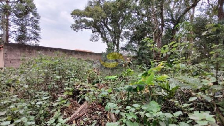 Imagem Terreno à Venda, 1.000 m² em Jardim Colibri - Cotia Imagem Terreno à Venda, 1.000 m² em Jardim Colibri - Cotia