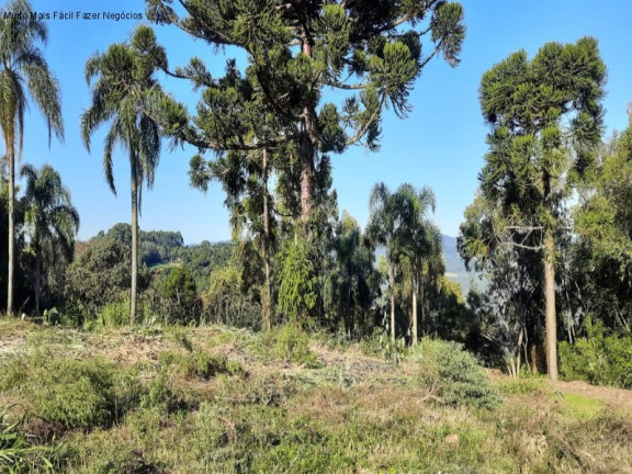 Terreno à Venda, 391 m² em Pinhal Alto - Nova Petrópolis