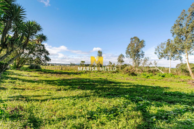 Imagem Chácara com 3 Quartos à Venda, 4.500 m² em Planta Terezinha - Piraquara Imagem Chácara com 3 Quartos à Venda, 4.500 m² em Planta Terezinha - Piraquara