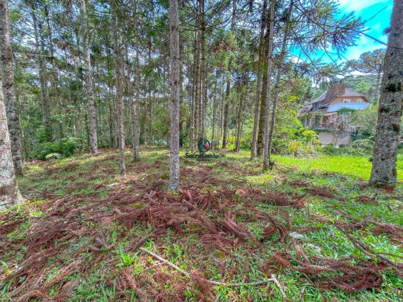 Imagem Terreno à Venda, 1 m² em Aspen Mountain - Gramado Imagem Terreno à Venda, 1 m² em Aspen Mountain - Gramado