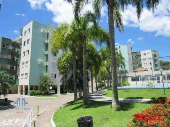 Imagem Apartamento com 3 Quartos à Venda, 85 m² em Córrego Grande - Florianópolis Imagem Apartamento com 3 Quartos à Venda, 85 m² em Córrego Grande - Florianópolis