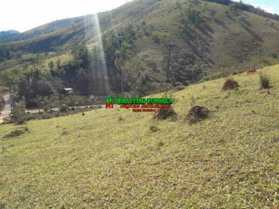 Imagem Chácara à Venda, 10.000 m² em São Francisco Xavier - São José Dos Campos Imagem Chácara à Venda, 10.000 m² em São Francisco Xavier - São José Dos Campos