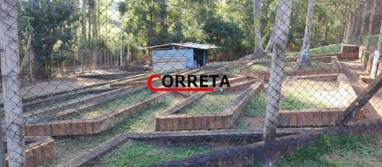 Imagem Casa com 3 Quartos à Venda, 9.000 m² em Paruru - Ibiúna Imagem Casa com 3 Quartos à Venda, 9.000 m² em Paruru - Ibiúna