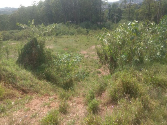 Imagem Terreno à Venda, 55.000 m² em Colônia (zona Leste) - São Paulo Imagem Terreno à Venda, 55.000 m² em Colônia (zona Leste) - São Paulo