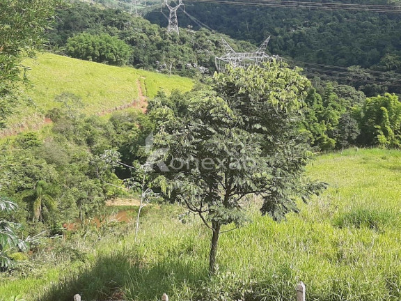 Imagem Chácara com 3 Quartos à Venda, 300 m² em Centro - Taubaté Imagem Chácara com 3 Quartos à Venda, 300 m² em Centro - Taubaté
