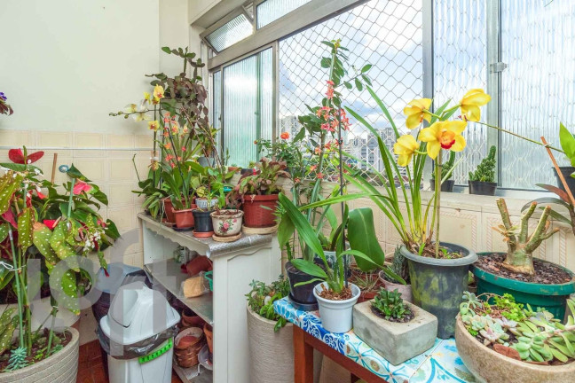 Imagem Apartamento com 2 Quartos à Venda, 69 m² em Chácara Inglesa - São Paulo Imagem Apartamento com 2 Quartos à Venda, 69 m² em Chácara Inglesa - São Paulo