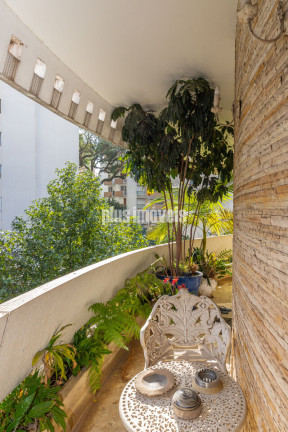Imagem Apartamento com 4 Quartos à Venda, 500 m² em Higienópolis - São Paulo Imagem Apartamento com 4 Quartos à Venda, 500 m² em Higienópolis - São Paulo