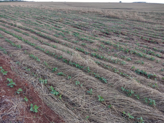 Imagem Fazenda à Venda, 2.698 m² em Rural - Itaporanga Imagem Fazenda à Venda, 2.698 m² em Rural - Itaporanga