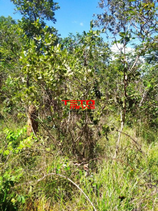 Imagem Imóvel à Venda, 700 m² em 3 Km Margeando Rio São Francisco - Três Marias Imagem Imóvel à Venda, 700 m² em 3 Km Margeando Rio São Francisco - Três Marias
